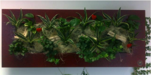 Decoración de plantas en pared
